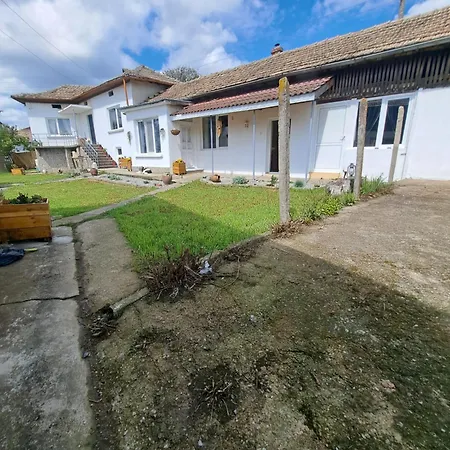 Muddy Puddles Farm Kovachevets